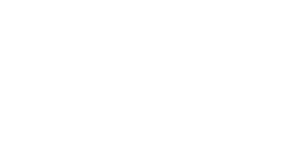 DZE Logo